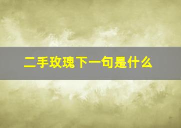 二手玫瑰下一句是什么