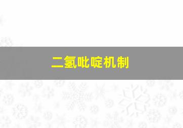 二氢吡啶机制