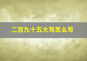 二百九十五大写怎么写