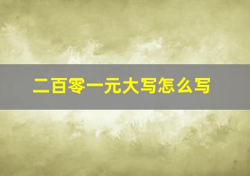 二百零一元大写怎么写