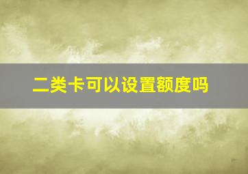 二类卡可以设置额度吗