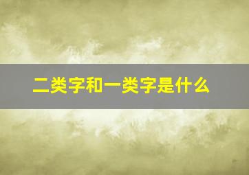 二类字和一类字是什么