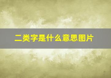 二类字是什么意思图片