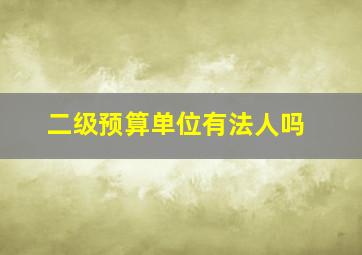 二级预算单位有法人吗