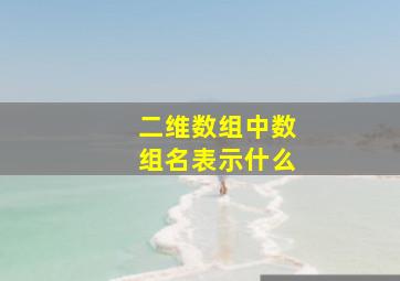 二维数组中数组名表示什么