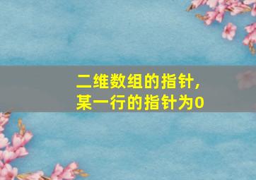 二维数组的指针,某一行的指针为0