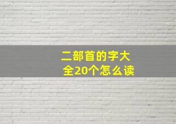 二部首的字大全20个怎么读