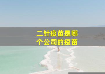 二针疫苗是哪个公司的疫苗