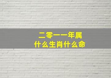 二零一一年属什么生肖什么命