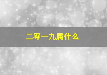 二零一九属什么