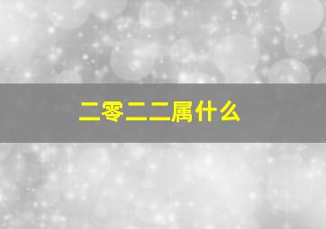 二零二二属什么