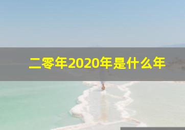 二零年2020年是什么年