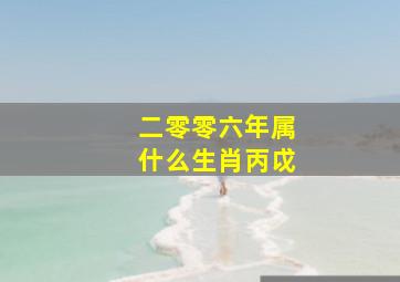 二零零六年属什么生肖丙戉