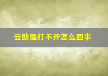 云助理打不开怎么回事