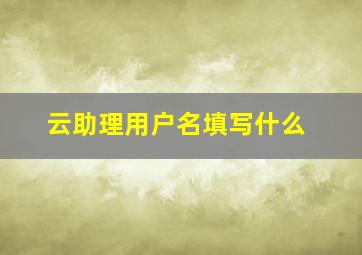 云助理用户名填写什么