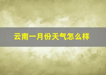 云南一月份天气怎么样