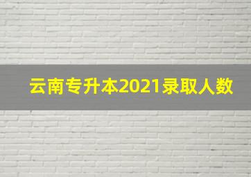 云南专升本2021录取人数