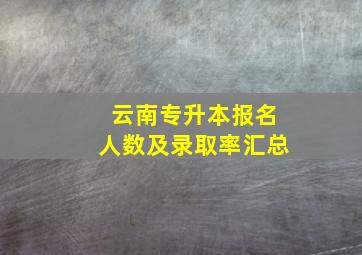 云南专升本报名人数及录取率汇总