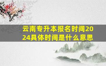 云南专升本报名时间2024具体时间是什么意思