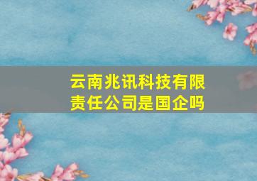 云南兆讯科技有限责任公司是国企吗