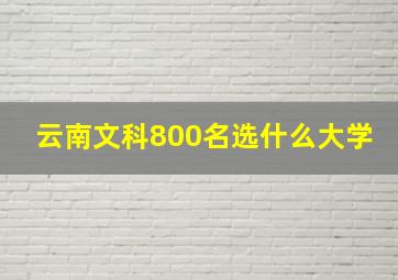 云南文科800名选什么大学