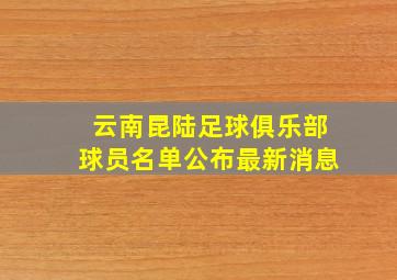 云南昆陆足球俱乐部球员名单公布最新消息