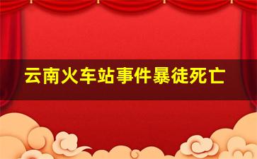 云南火车站事件暴徒死亡