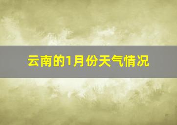 云南的1月份天气情况