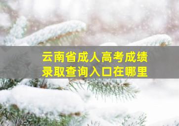 云南省成人高考成绩录取查询入口在哪里