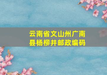 云南省文山州广南县杨柳井邮政编码