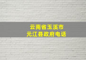 云南省玉溪市元江县政府电话