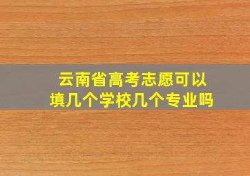 云南省高考志愿可以填几个学校几个专业吗