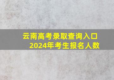 云南高考录取查询入口2024年考生报名人数