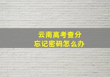 云南高考查分忘记密码怎么办