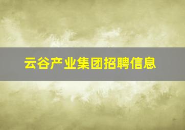 云谷产业集团招聘信息