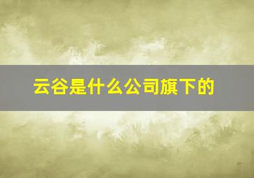 云谷是什么公司旗下的