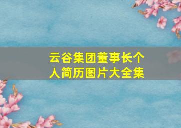 云谷集团董事长个人简历图片大全集