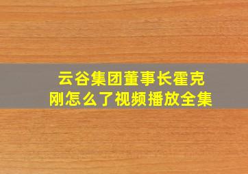 云谷集团董事长霍克刚怎么了视频播放全集