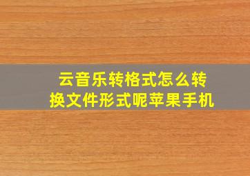 云音乐转格式怎么转换文件形式呢苹果手机