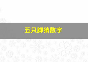 五只脚猜数字