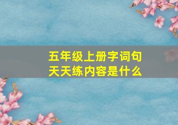 五年级上册字词句天天练内容是什么