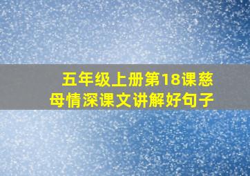 五年级上册第18课慈母情深课文讲解好句子