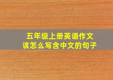 五年级上册英语作文该怎么写含中文的句子