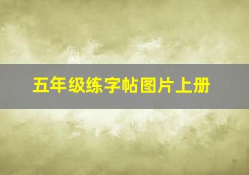 五年级练字帖图片上册