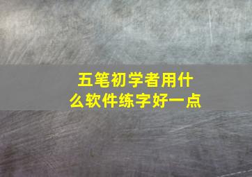 五笔初学者用什么软件练字好一点