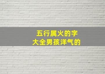 五行属火的字大全男孩洋气的