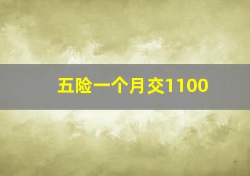 五险一个月交1100