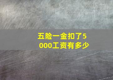 五险一金扣了5000工资有多少