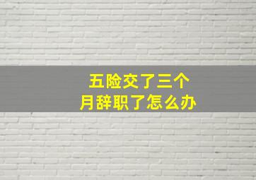 五险交了三个月辞职了怎么办