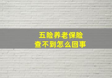 五险养老保险查不到怎么回事